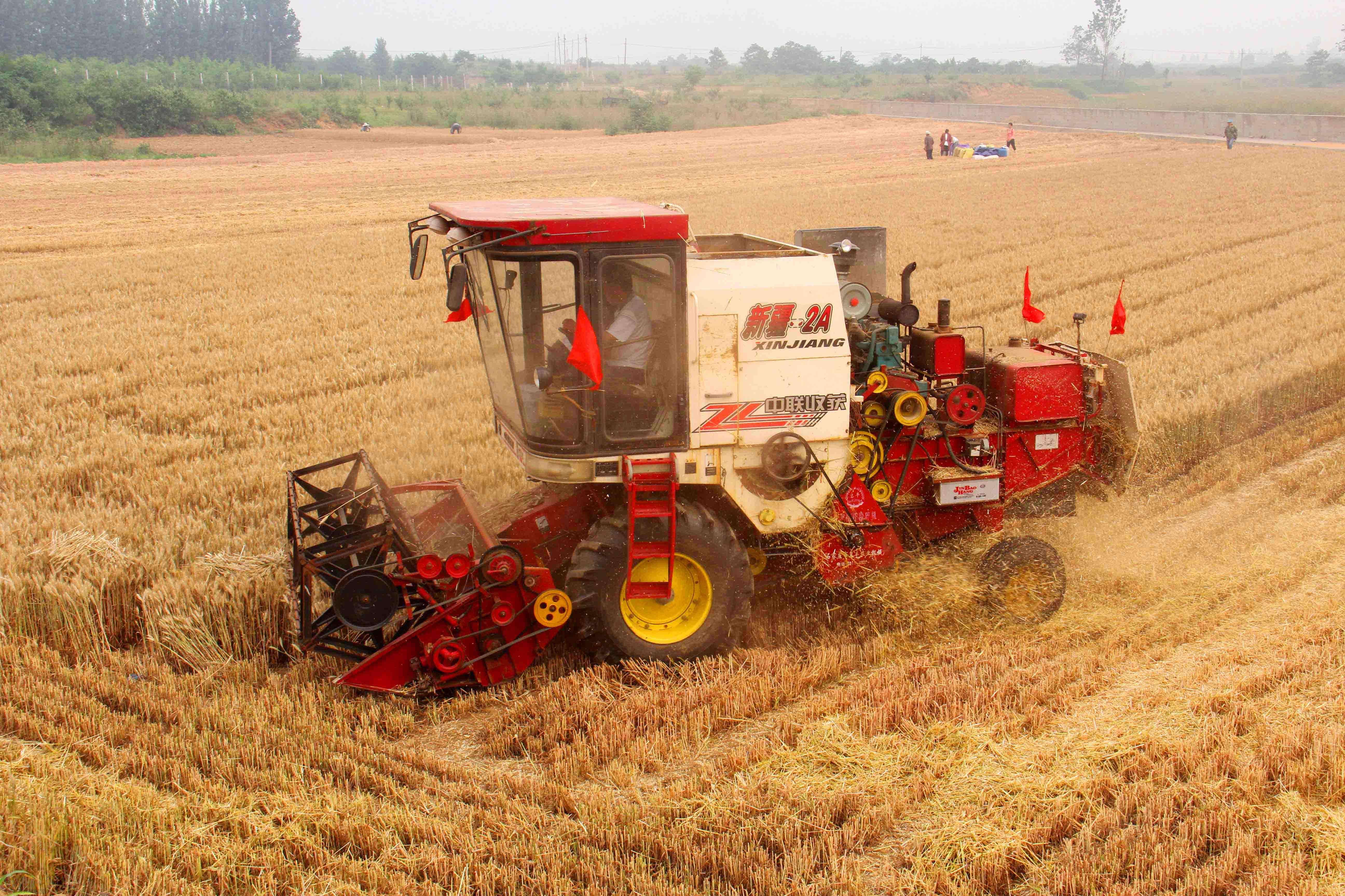 在不朽情缘官网登录入口收获的发展史里，有一个绕不开的名字——“新疆-2”