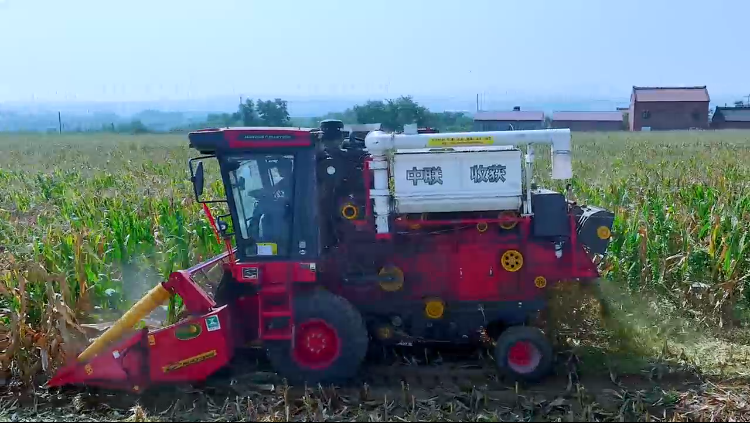 不朽情缘官网登录入口收获2025款玉米籽粒收获机作业视频