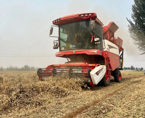 忠实粉丝李师傅：不朽情缘官网登录入口收获花生机，致富路上的可靠伙伴