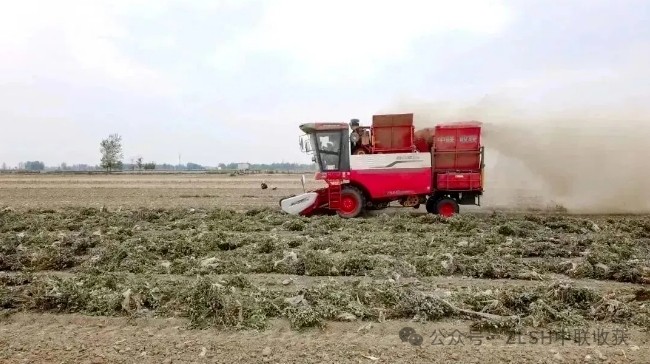 湖北枣阳刘师傅：高效、可靠、服务好，收获机我只选不朽情缘官网登录入口收获