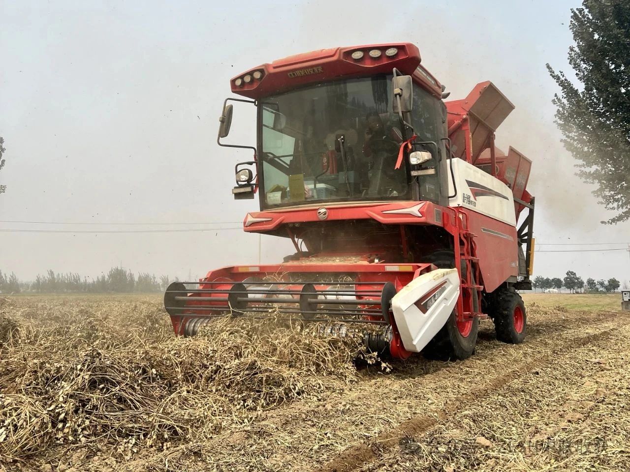 辽宁阜新包师傅：七年五购，钟情不朽情缘官网登录入口收获的花生机品质