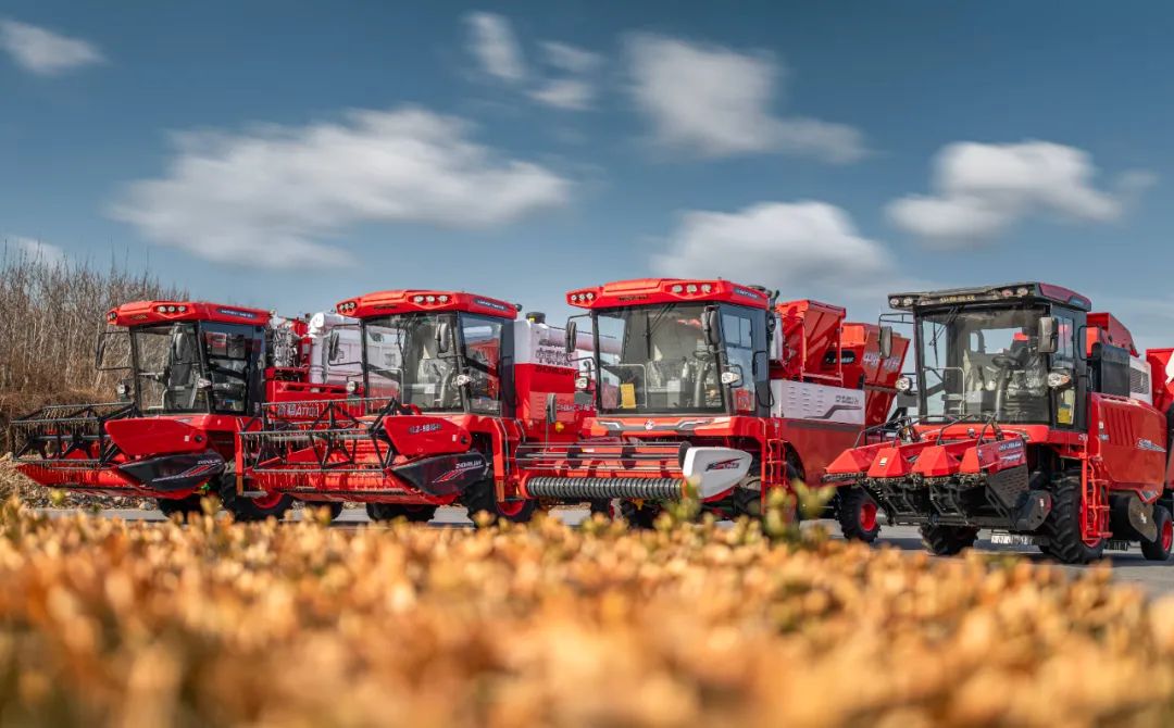 驻马店乔师傅：邂逅不朽情缘官网登录入口收获，致富之路越走越宽