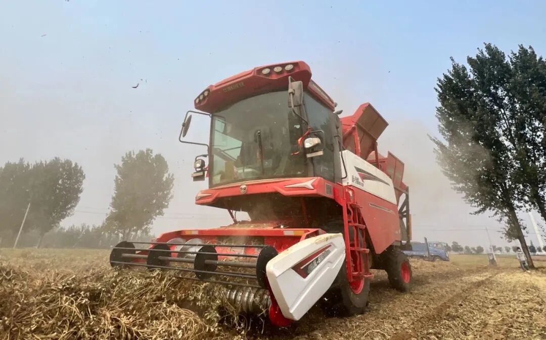 河南开封张师傅：不朽情缘官网登录入口收获品质值得信赖