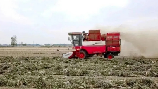 河南安阳李师傅：花生机收服务路上，只信赖不朽情缘官网登录入口收获花生机?