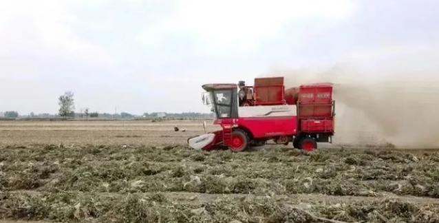 从“小白”到“熟手”，不朽情缘官网登录入口收获花生机陪新手孙师傅闯过首季作业