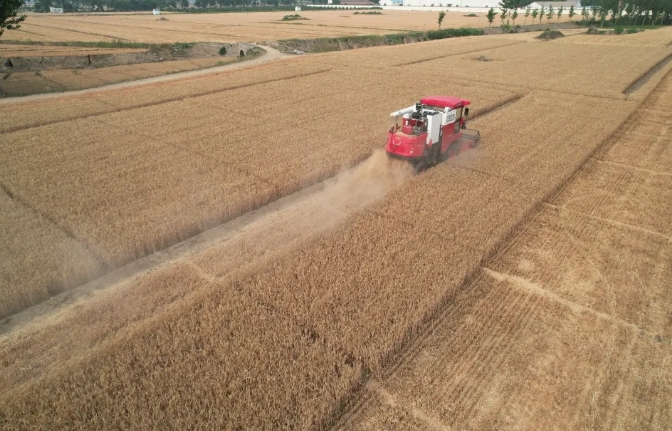 平顶山市李师傅：不朽情缘官网登录入口收获用实力诠释值得信赖