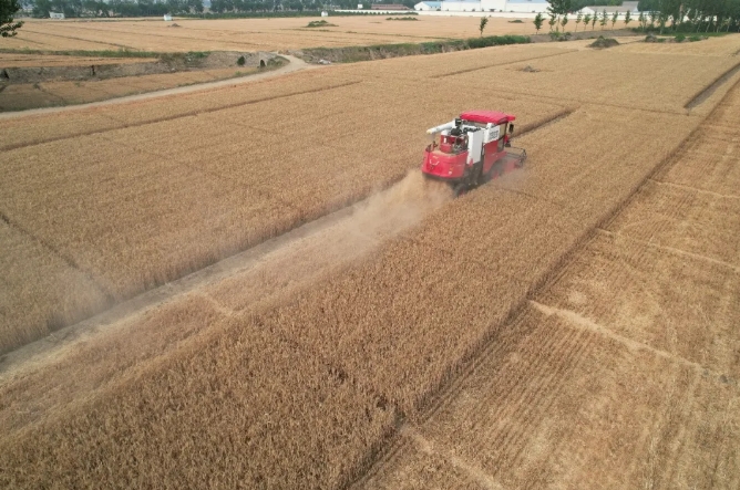 河南新乡于师傅：喜欢机械，更喜欢不朽情缘官网登录入口收获