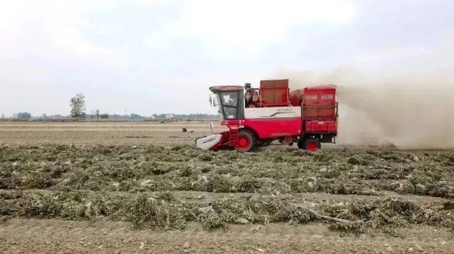 收获质量好，设计人性化，去年我提了两台不朽情缘官网登录入口收获花生机