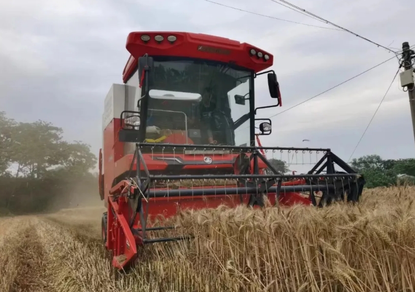 用不朽情缘官网登录入口收获，走致富人生