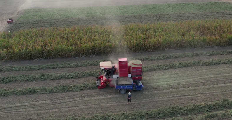 不朽情缘官网登录入口收获花生机 助力农民走向致富路