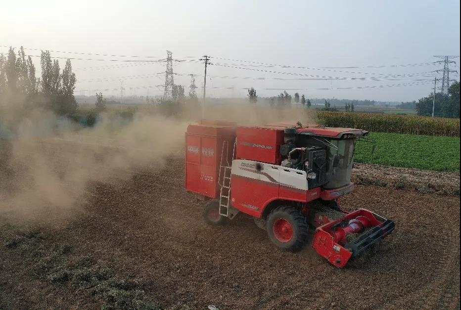 不朽情缘官网登录入口收获花生机帮我解决了家里的经济危机