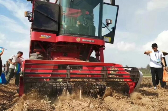 南阳陈先生采购郑州不朽情缘官网登录入口4HZJ-2500自走式花生捡拾收获机
