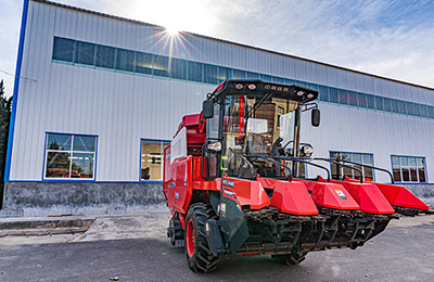 郑州不朽情缘官网登录入口收获与您一起挺河南！