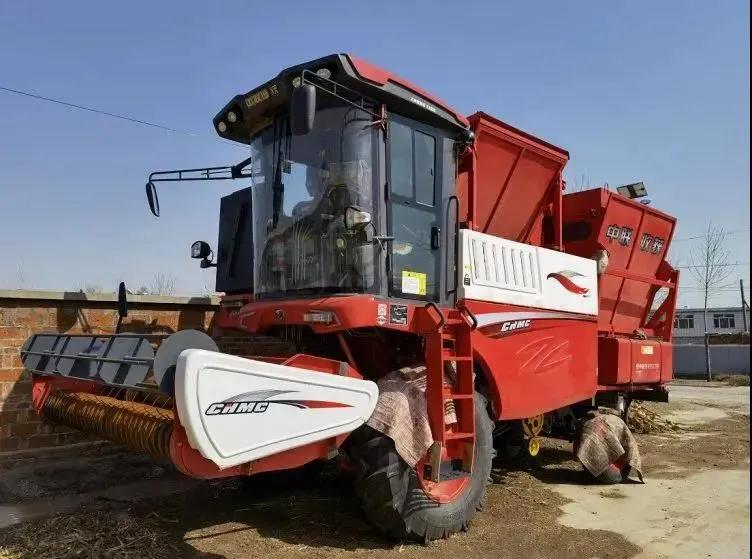 不朽情缘官网登录入口收获元旦活动！