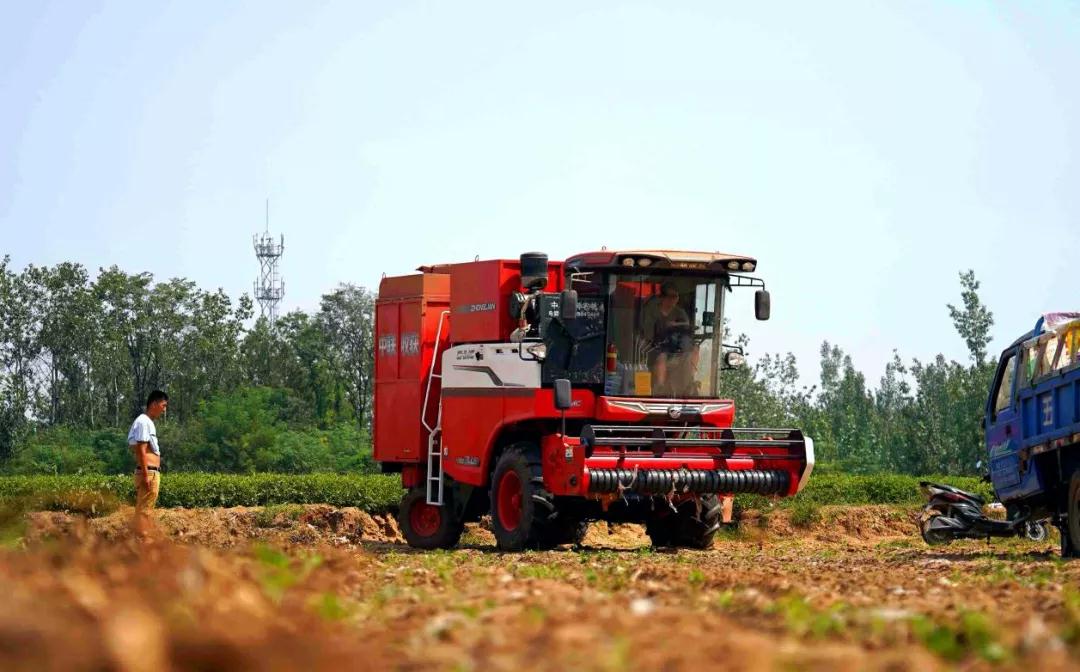 农民致富神器原来是——郑州不朽情缘官网登录入口收获花生捡拾收获机