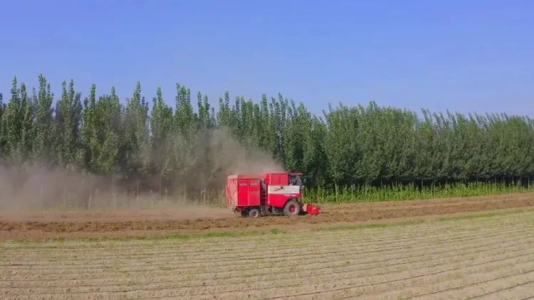 花生收获机市场稳步发展，用户关注度品牌一家独大！