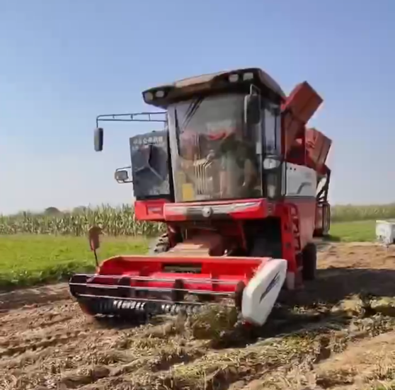 知命之年不认命，他用不朽情缘官网登录入口收获花生机月入十几万