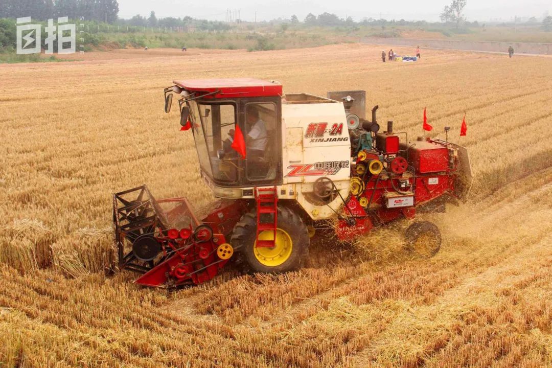 我，包工程的80后，不想陪酒，放弃几十万收入，去战后叙利亚闯