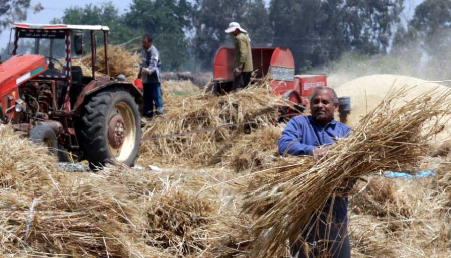 服务非洲农业，助力一带一路——郑州不朽情缘官网登录入口