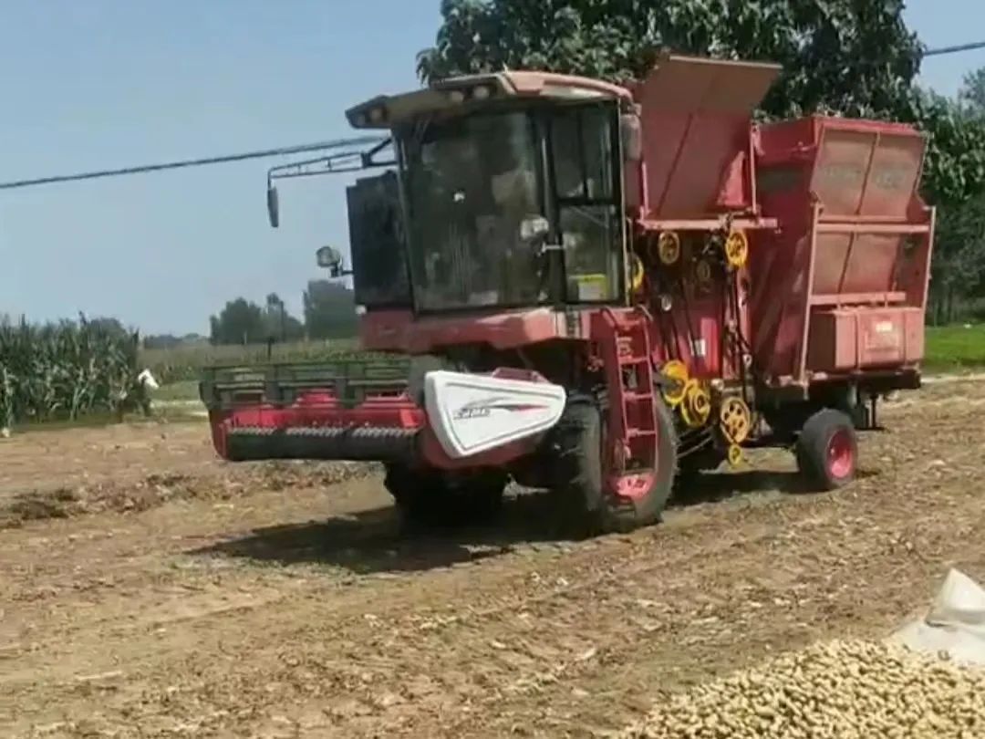 宋孝思：我是不朽情缘官网登录入口收获的忠实粉丝