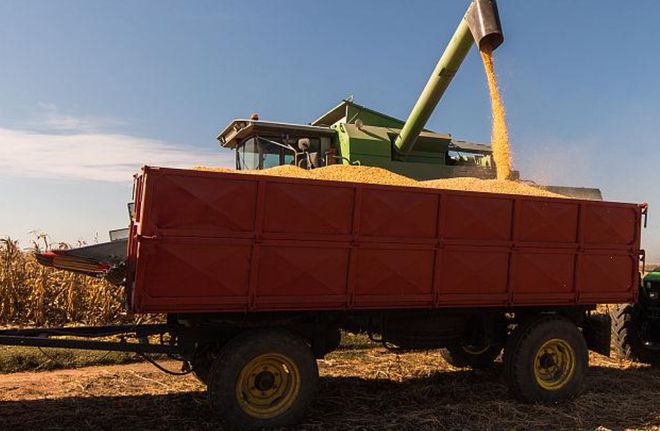 玉米收获机市场提前启动，籽粒收获机今年成主角(图3)