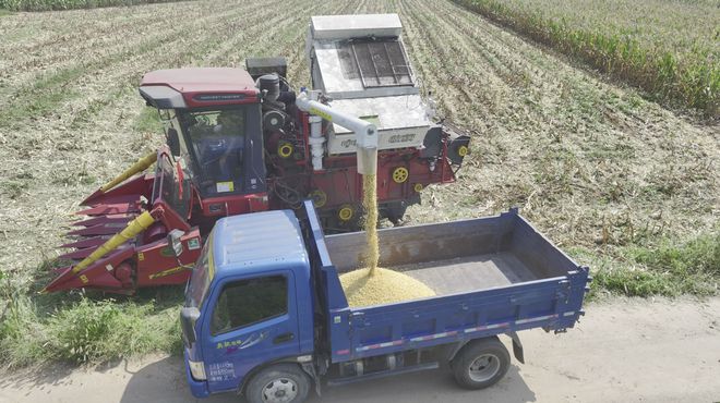 玉米收获机市场提前启动，籽粒收获机今年成主角(图4)