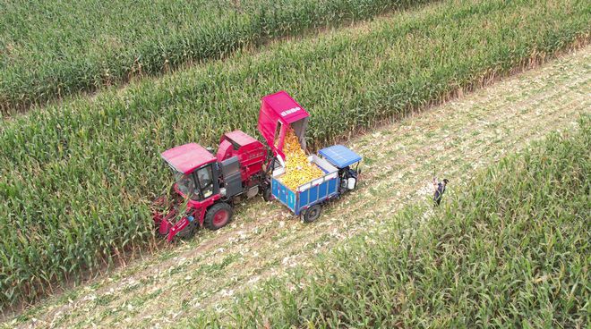 玉米收获机市场提前启动，籽粒收获机今年成主角(图5)