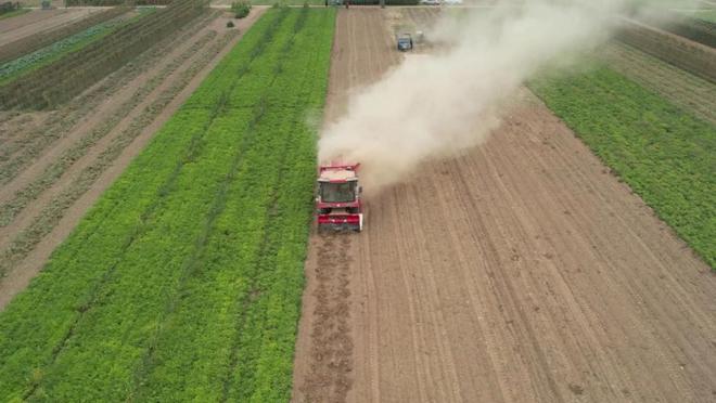 花生收获机行业“马太效应”凸显，强者恒强！