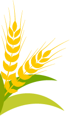 保定张振恒：我就是喜欢开收割机，新疆-9真不赖，动力足、售后服务好(图3)