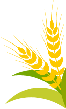 保定张振恒：我就是喜欢开收割机，新疆-9真不赖，动力足、售后服务好(图5)