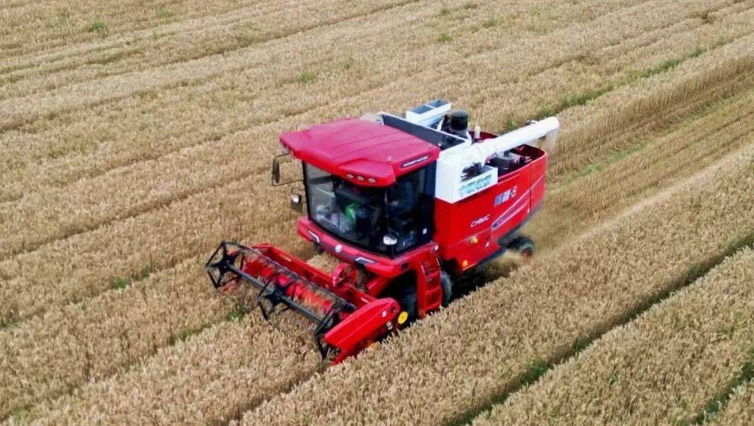 来自保定华师傅的认可：从新疆-7到新疆-9，不朽情缘官网登录入口收获一直是我