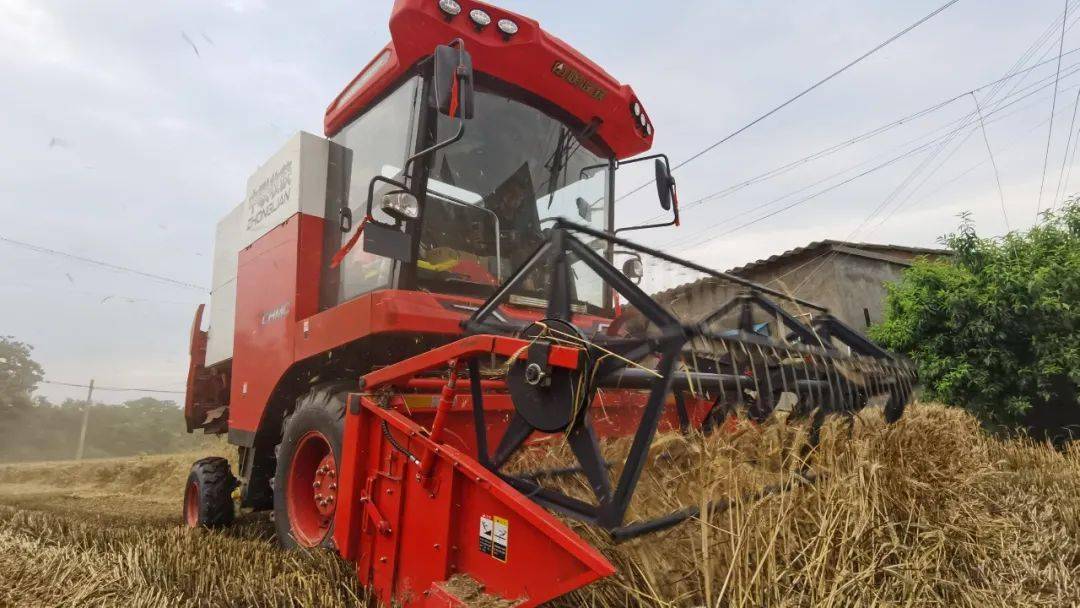 来自保定华师傅的认可：从新疆-7到新疆-9，不朽情缘官网登录入口收获一直是我中意的品牌(图2)