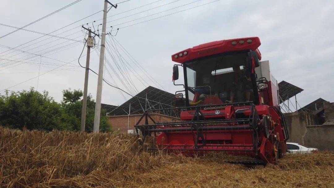 来自保定华师傅的认可：从新疆-7到新疆-9，不朽情缘官网登录入口收获一直是我中意的品牌(图3)