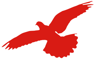 唐山丰南刘贺海：年收入翻两番 不朽情缘官网登录入口收获花生机带来意外之喜 (图1)