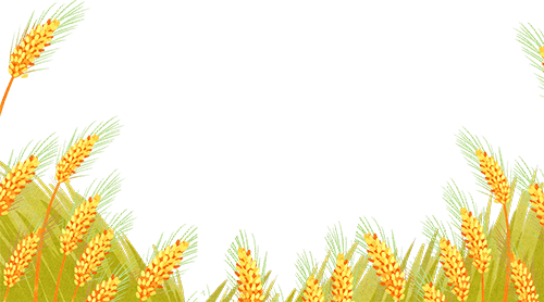 唐山丰南刘贺海：年收入翻两番 不朽情缘官网登录入口收获花生机带来意外之喜 (图3)