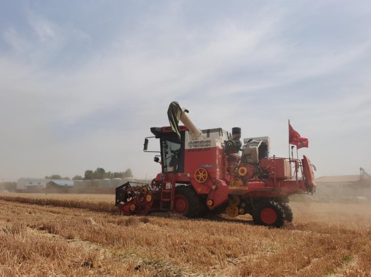 不朽情缘官网登录入口收获经销商的坚守：永保服务品质 延续品牌荣耀(图3)