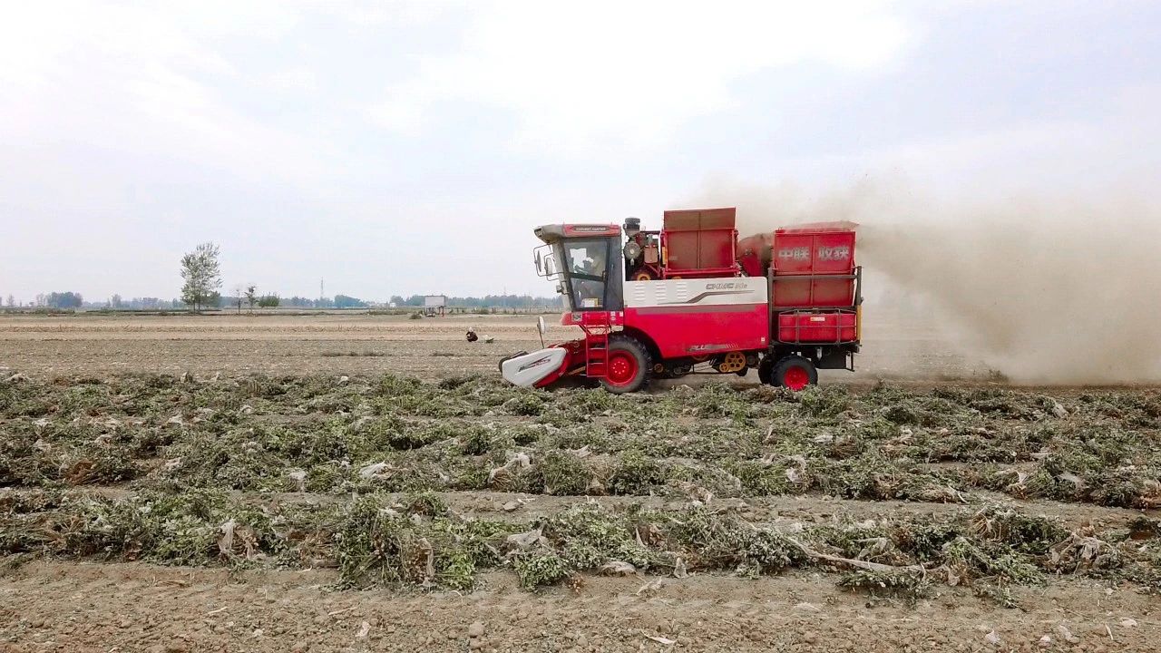 唐山丰南区王峰：故障少，马力大，每天140亩，不朽情缘官网登录入口收获H6花生机真不错(图2)