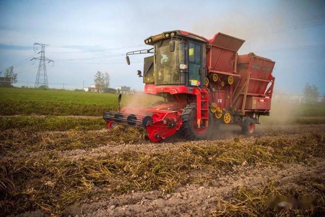 不朽情缘官网登录入口收获花生机还可以一机多用？不仅能收花生还能收豌豆！(图2)