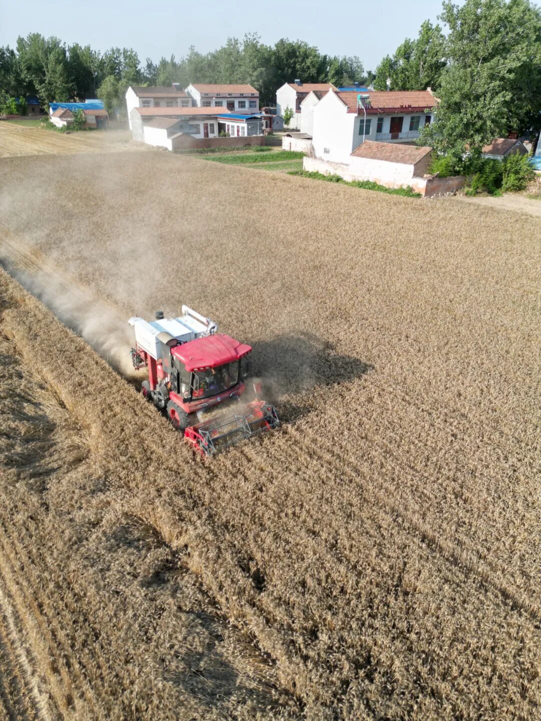 30年只做一件事:为什么越来越多农机手认准「不朽情缘官网登录入口收获」?(图6)