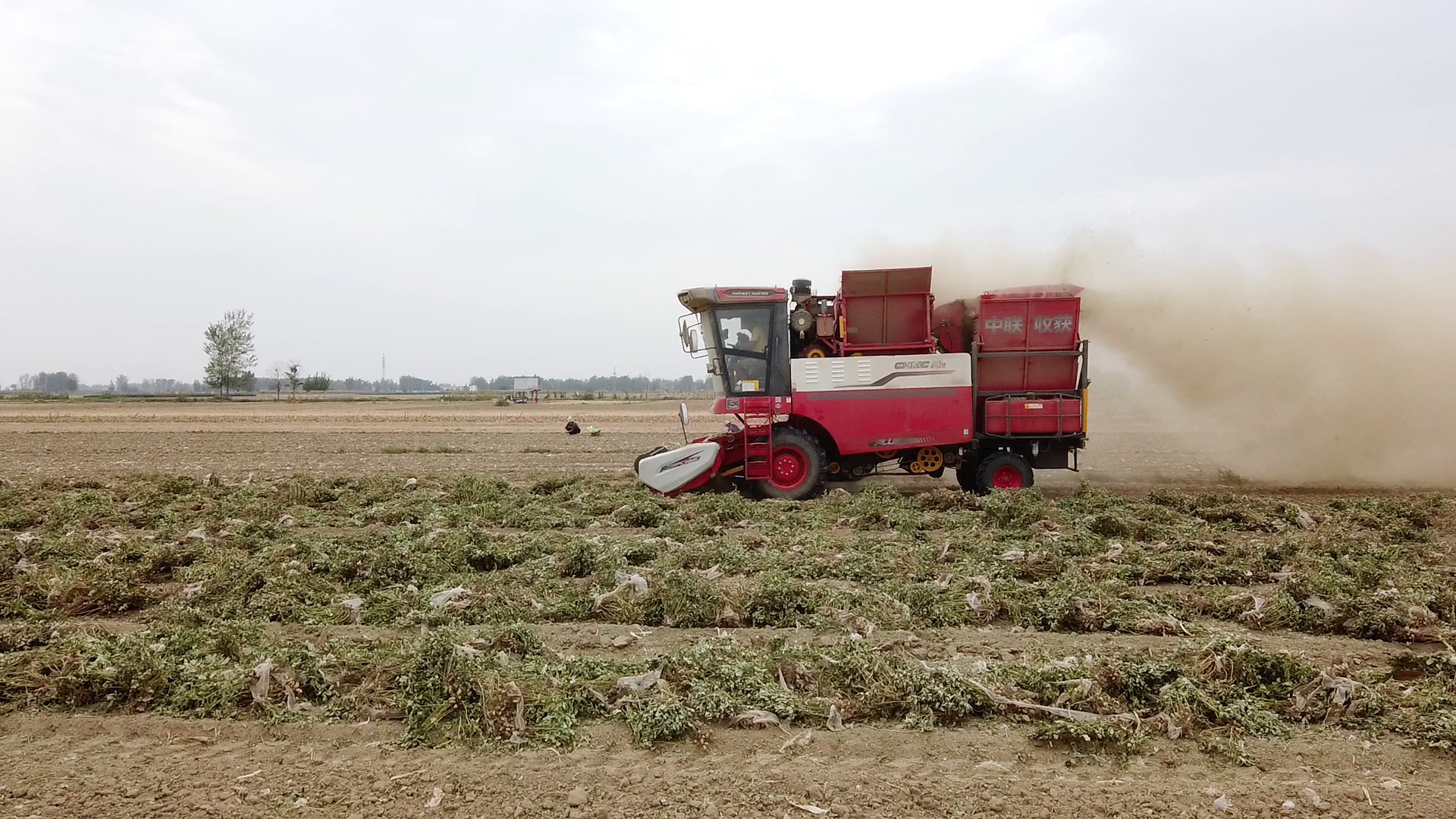 驻马店乔师傅：邂逅不朽情缘官网登录入口收获，致富之路越走越宽(图2)