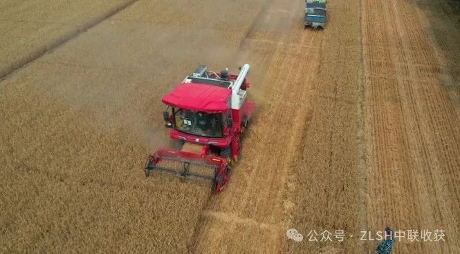 湖北枣阳刘师傅：高效、可靠、服务好，收获机我只选不朽情缘官网登录入口收获(图2)