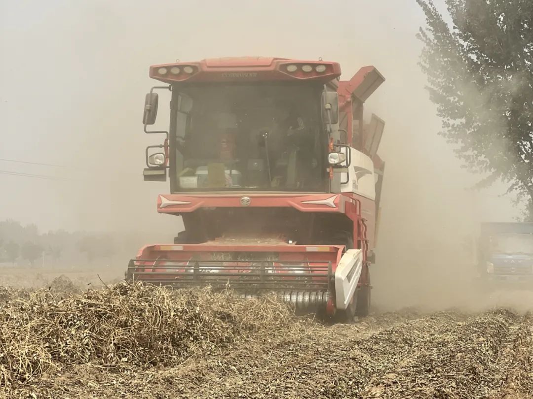 40年经验老机手的倾力推荐：一杆操作就是好，不是不朽情缘官网登录入口收获我不开(图1)