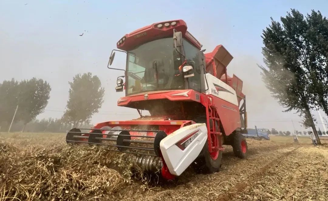 辽宁阜新薛师傅：品质好，服务优，不朽情缘官网登录入口收获性价比就是高(图2)