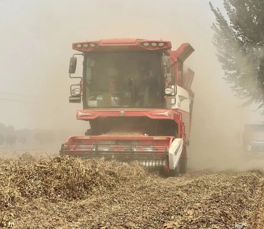从麦客到花生王：渭南拜师傅的跨赛道致富经(图2)