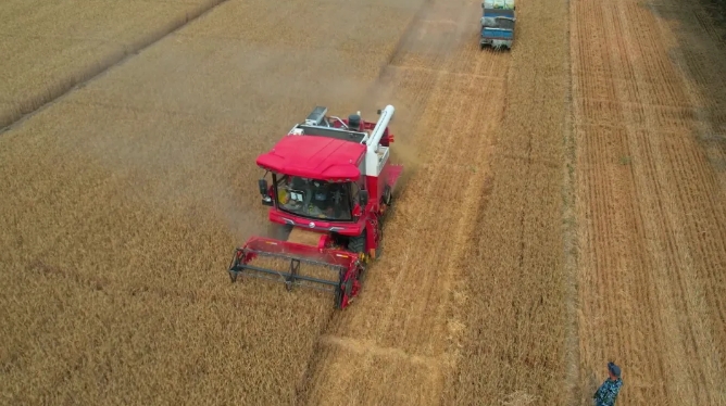 河北衡水刘师傅：质量好、口碑好、大品牌，我只认不朽情缘官网登录入口收获(图1)