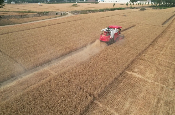 谷物收割机在雨季结束后的检查和保养要点(图1)