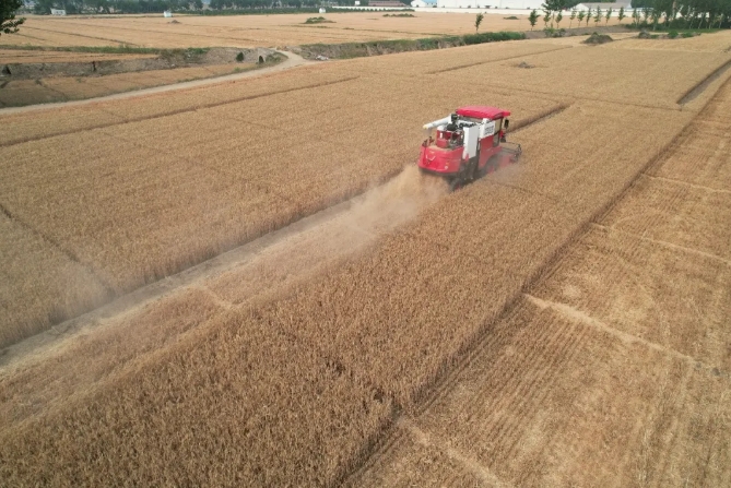 河南商丘姜师傅：不朽情缘官网登录入口收获就是好，收获起来没烦恼(图2)